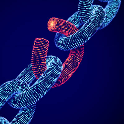 Close the Digital Security Gaps That Can Sink Your Business